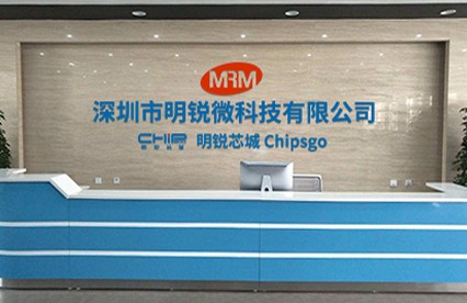 Shenzhen Mingrui Micro Technology Co., Ltd.